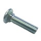 Carriage Bolt