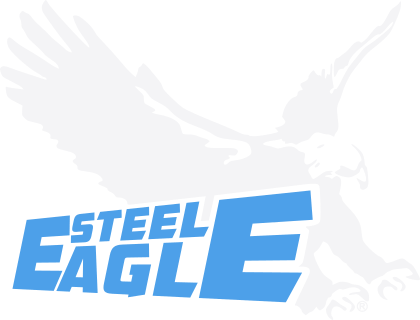 Steel Eagle
